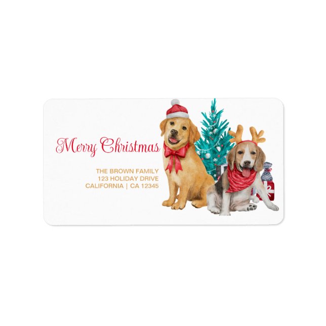 Spaß Weihnachten Foto Moderne Minimale Rücksendead Adressaufkleber (Vorne)