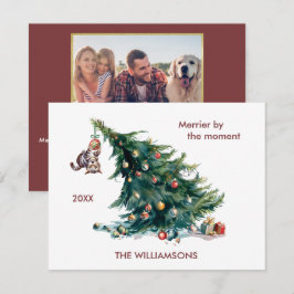 Spaß Weihnachtsbaum Dangling Cat Foto Feiertagskarte