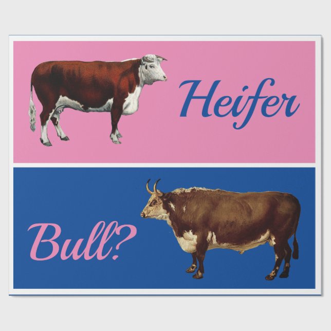 Spaßige Färse oder Bulle Geschlechtsenthüllung mit Geschenkpapier (Flach)