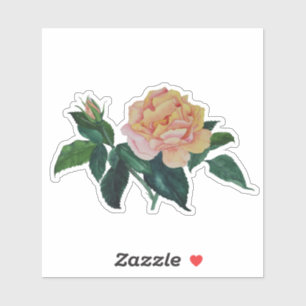 Spaßige Florale Wasserfarbe Friedensrose Geschenk  Aufkleber