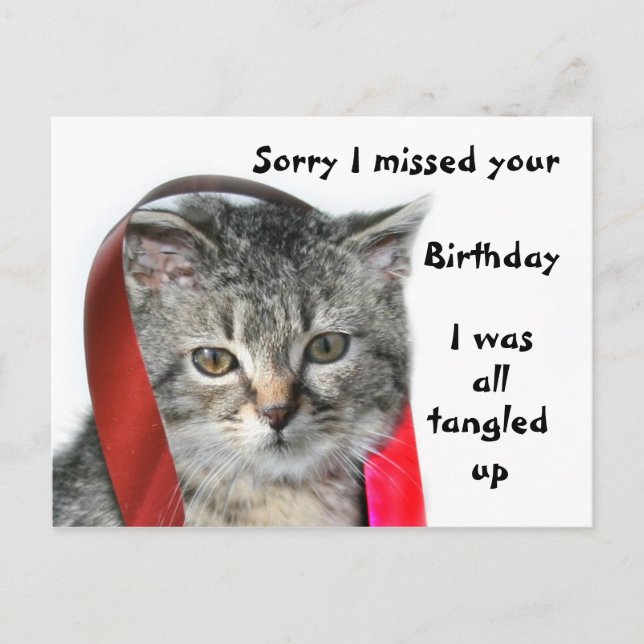 Spate Birthday Kitten Postkarte (Vorderseite)