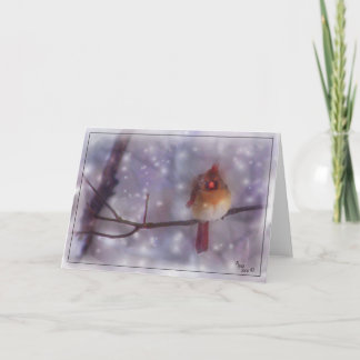 Späte kalte Tagesdame Cardinal Feiertagskarte