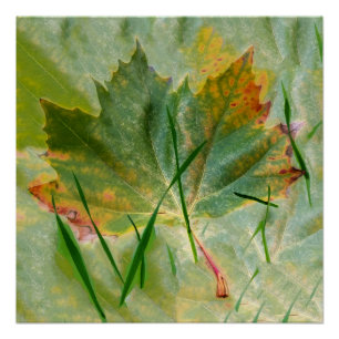 Später Herbst Poster