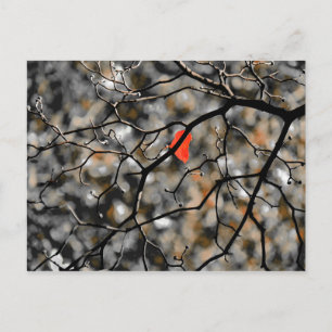 Später Herbst Postkarte