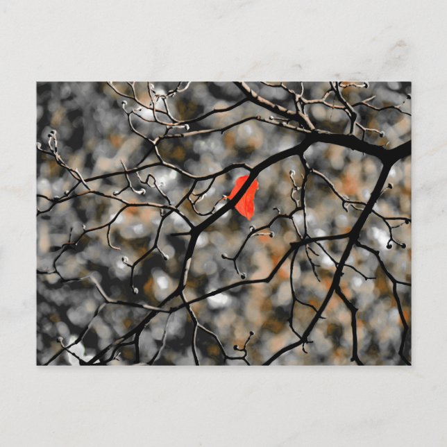 Später Herbst Postkarte (Vorderseite)