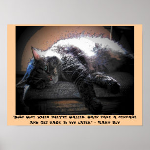 Später mit Mary Bly zitieren Poster