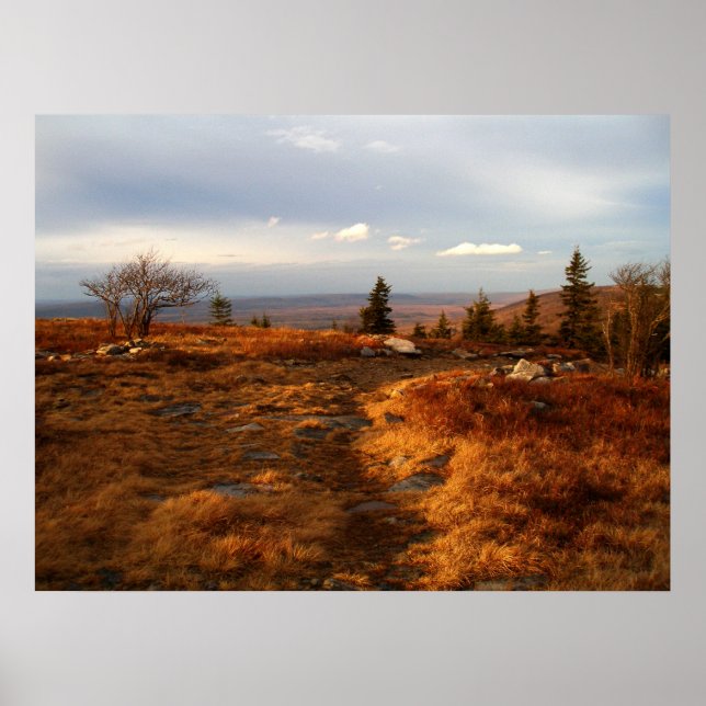 Später Nachmittag auf Sods Poster (Vorne)