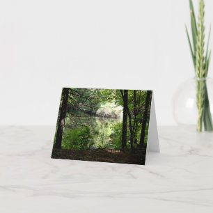 Später Sommer am Waldenteich