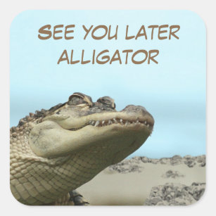 Spätere Alligator-Aufkleber Quadratischer Aufkleber