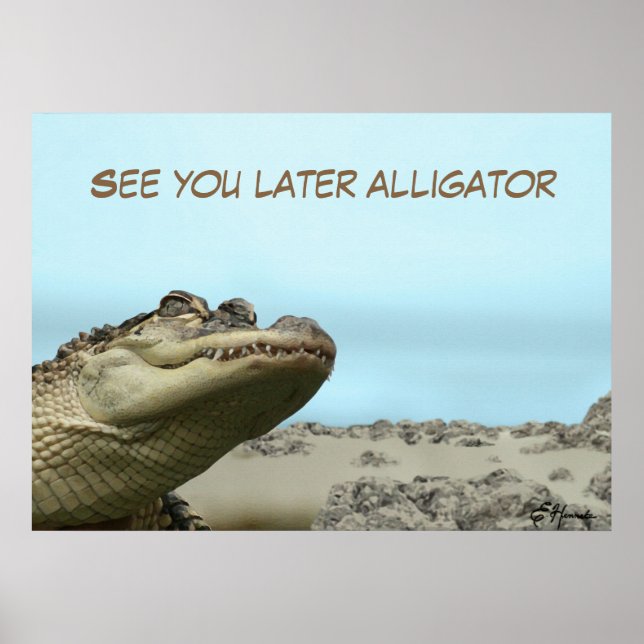 Spätere Alligator sehen Poster (Vorne)