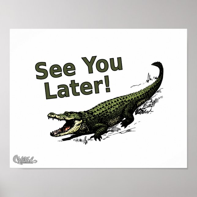 Spätere Alligator sehen Poster (Vorne)