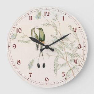 Spathura Peruana Kolibris von John Gould Große Wanduhr