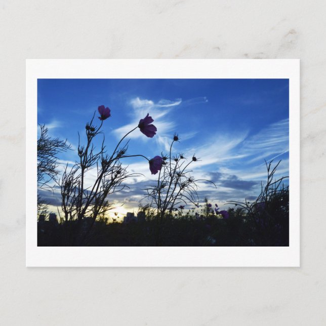 Spätsommerhimmel: Tokio Postkarte (Vorderseite)