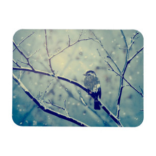 Spatz auf dem schneebedeckten Ast Magnet