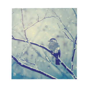 Spatz auf dem schneebedeckten Ast Notizblock