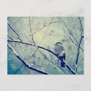 Spatz auf dem schneebedeckten Ast Postkarte