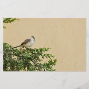 Spatz Briefpapier