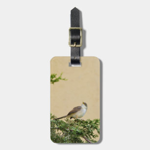 Spatz Gepäckanhänger