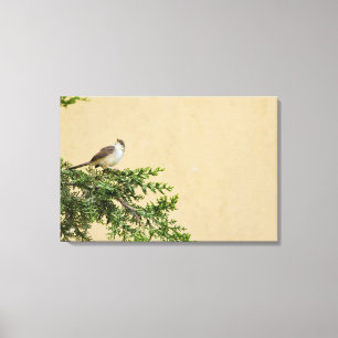 Spatz Leinwanddruck