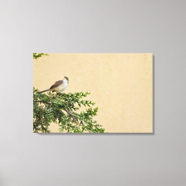Spatz Leinwanddruck (Vorderseite)
