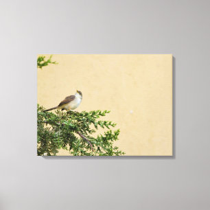 Spatz Leinwanddruck