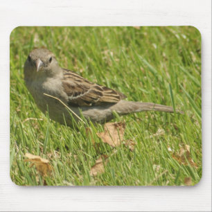 Spatz Mousepad