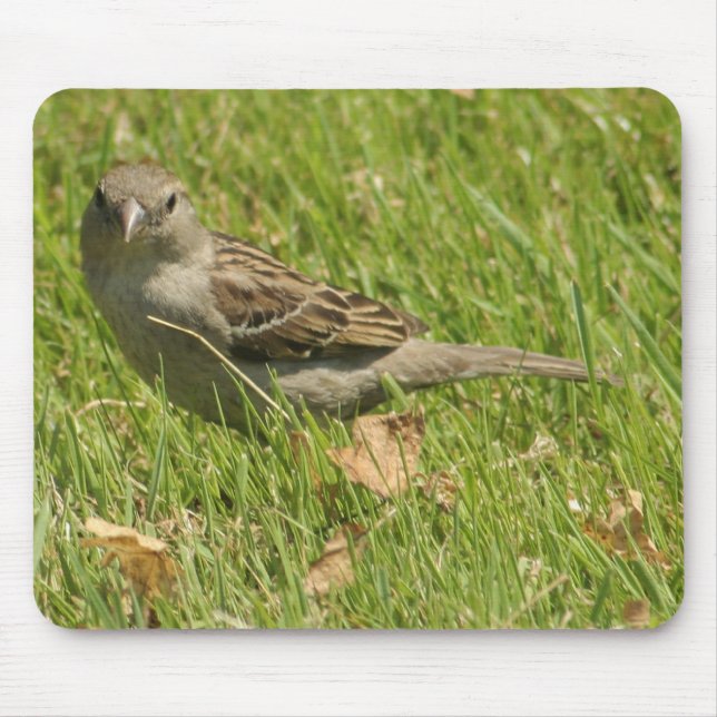 Spatz Mousepad (Vorne)