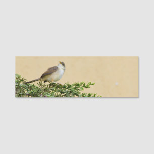 Spatz namensschild