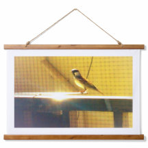Spatz-Natur-Wandtapete | Moderne Tierwelt-Wanddeko