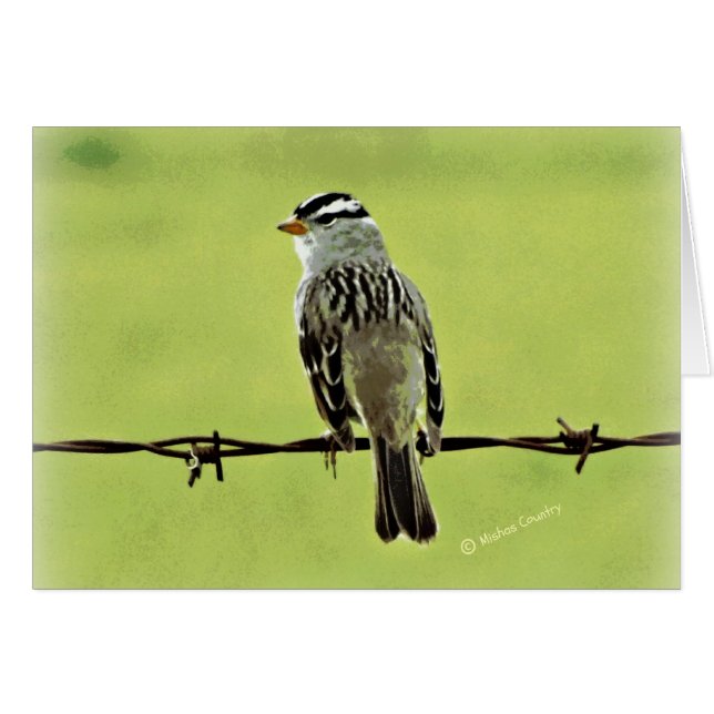 Spatz "Vogel auf einem Draht " (Vorderseite (Horizontal))