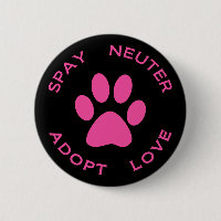 Spay Neutrum adoptieren Liebe