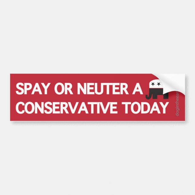 Spay Neutrum ein Konservativer Autoaufkleber (Vorne)