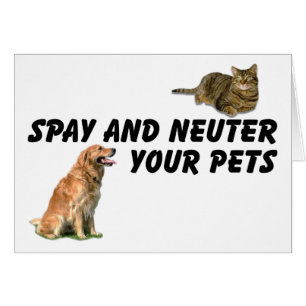 Spay und Neuter