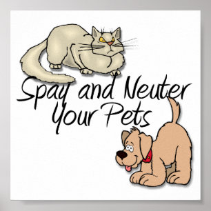 Spay und Neuter Ihre Haustiere Poster