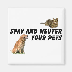 Spay und Neuter Magnet