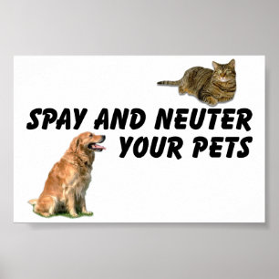 Spay und Neuter Poster
