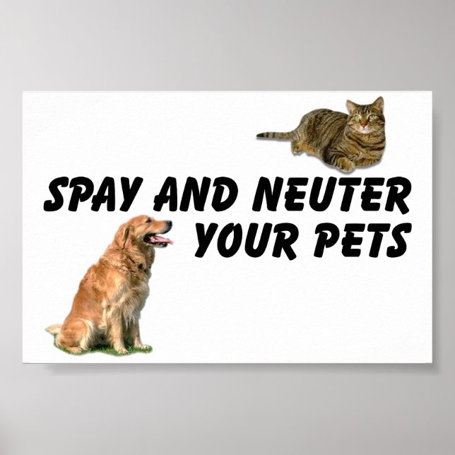 Spay und Neuter Poster (Vorne)