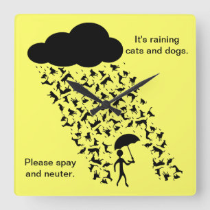 "Spay und neutralisieren Sie" Wanduhr