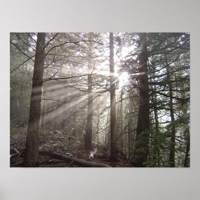 Spazieren durch die Wolken Poster (Vorne)