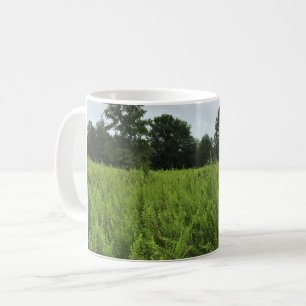 Spazieren Sie durch den Wald, Chester, South Carol Kaffeetasse