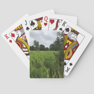 Spazieren Sie durch den Wald, Chester, South Carol Spielkarten