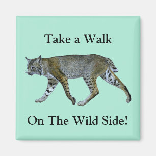 Spazieren Sie durch die wilde Bobcat. Magnet