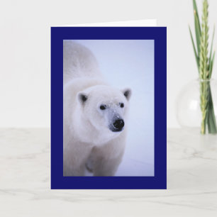 Spaziergang auf der wilden Seite - Eisbär Karte