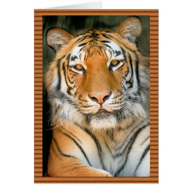 Spaziergang auf der wilden Seite - Tiger (Vorne)