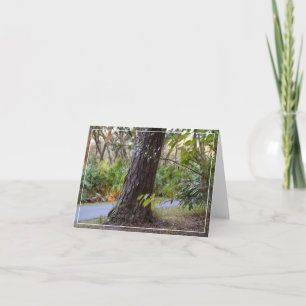 Spaziergang durch den Lettuce-See