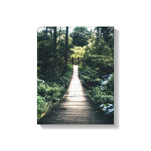 Spaziergang durch den Wald