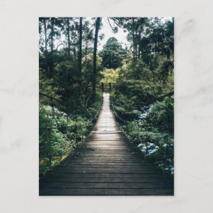 Spaziergang durch den Wald Postkarte
