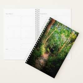 Spaziergang durch die Bäume Planer