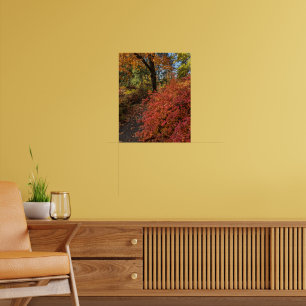 Spaziergang durch einen herbstlich gefärbten botan poster
