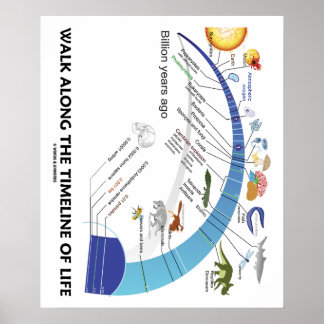 Spaziergang entlang der Zeitachse der Evolution de Poster
